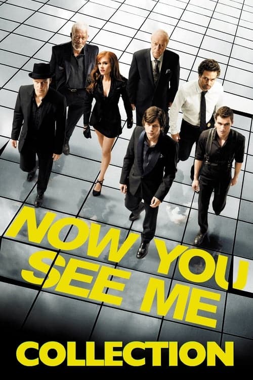 Affiche du film Insaisissables (Now You See Me, 2013)
