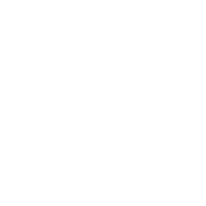 Logo Mathieu Grant Magicien Lyon
